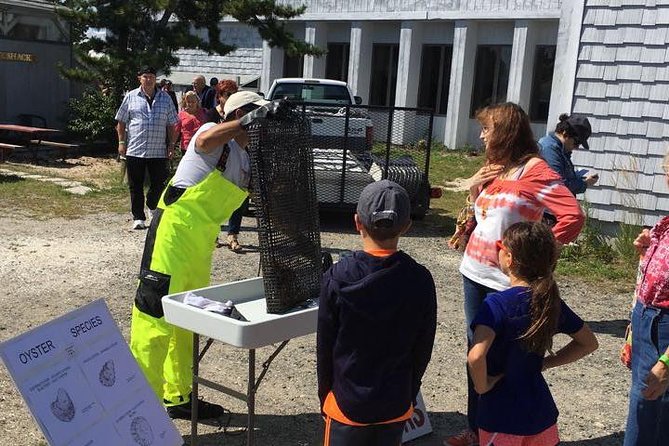 Southold Bay Oyster Farm Tour - Price and Value: What $138 Buys You on the North Fork