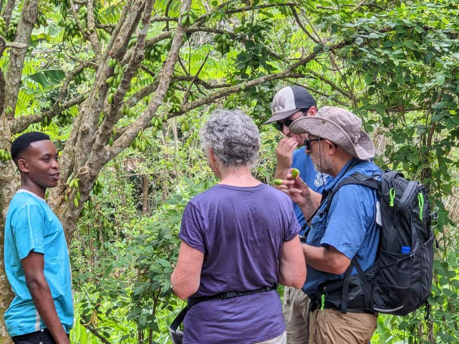 Spice Farm Bike Tour: Pedal Through Aromatic Adventures - Key things I’d plan around