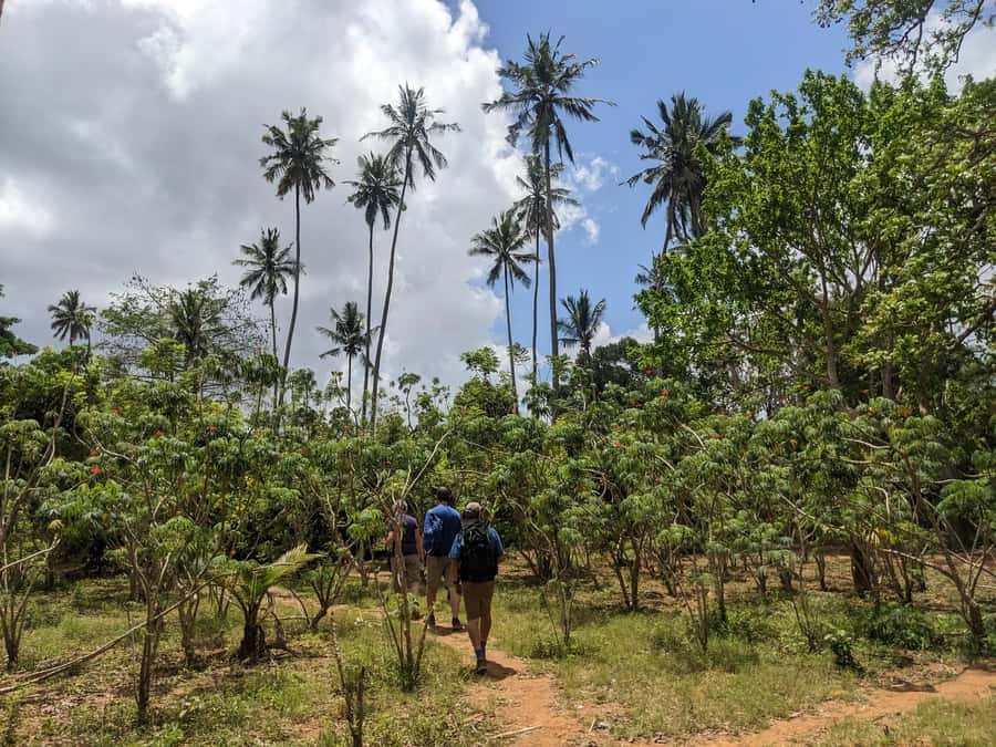 Spice Farm Bike Tour: Pedal Through Aromatic Adventures - Who this tour fits best (and who should skip it)