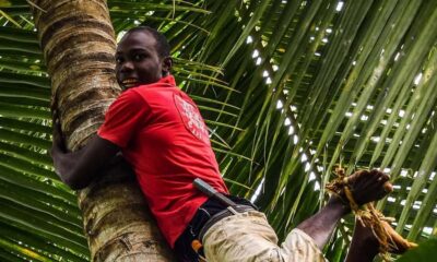 Spice Farm - spice up your life in Zanzibar - Hotel Pickup to Rural Spice Plantations