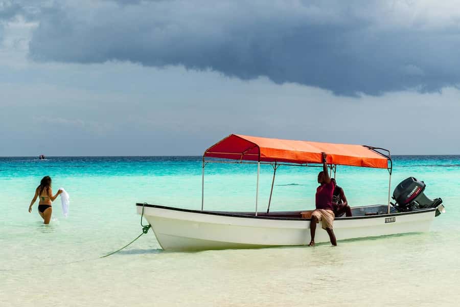 Spice farm,Stone town and Jozani forest tour with lunch - Quick highlights that matter