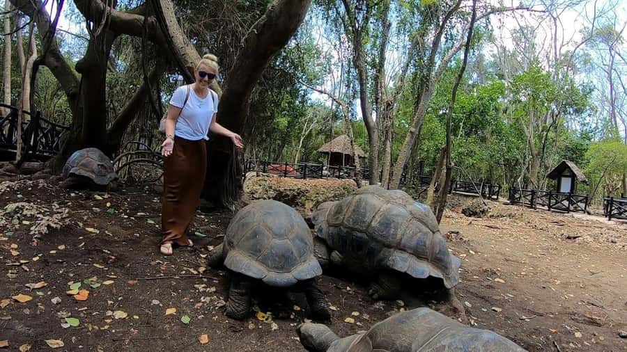 Spice farm,Stone town and Jozani forest tour with lunch - A day that smells like Zanzibar: the shamba spice walk
