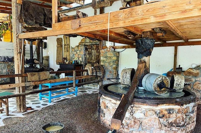 Spiridi Olive Oil Farm Tour - Timing, getting there, and how to fit it into your day
