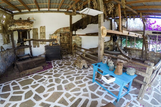 Spiridi Olive Oil Farm Tour - Should you book the Spiridi Olive Oil Farm Tour?