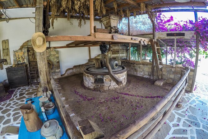 Spiridi Olive Oil Farm Tour - Your route through the olive oil museum: what to expect at each station