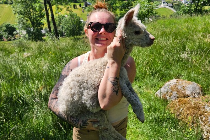 Steim Farm Experience in Vik, Norway - Vik centre and old-town views: why you still get city context