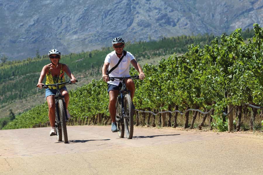 Stellenbosch: Wine Farm E-Bike Guided Tour - Key things to know before you go