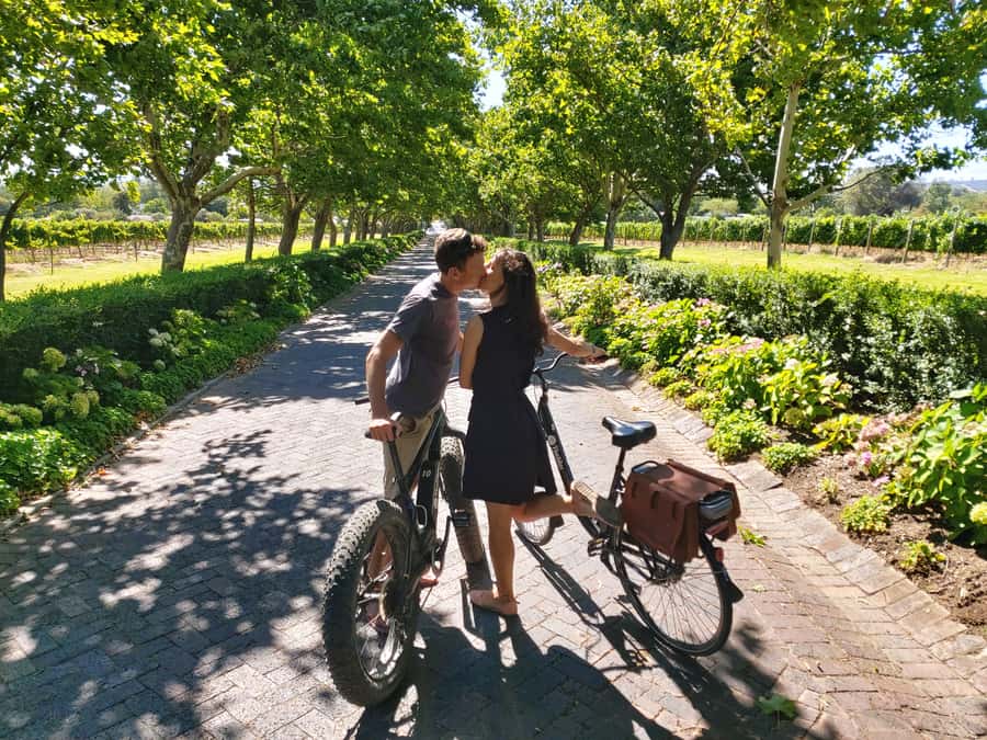 Stellenbosch: Wine Farm E-Bike Guided Tour - Why an E-Bike Works So Well in Stellenbosch Winelands