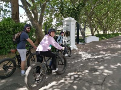 Stellenbosch: Wine Farm E-Bike Guided Tour - Where the Tour Starts and How the Ride Gets Rolling Safely