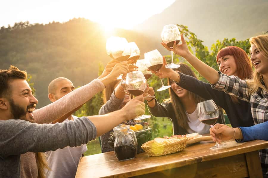 Stellenbosch: Wine Farm E-Bike Guided Tour - Stop Two and the Final Breaks: A Second Tasting With Time to Choose