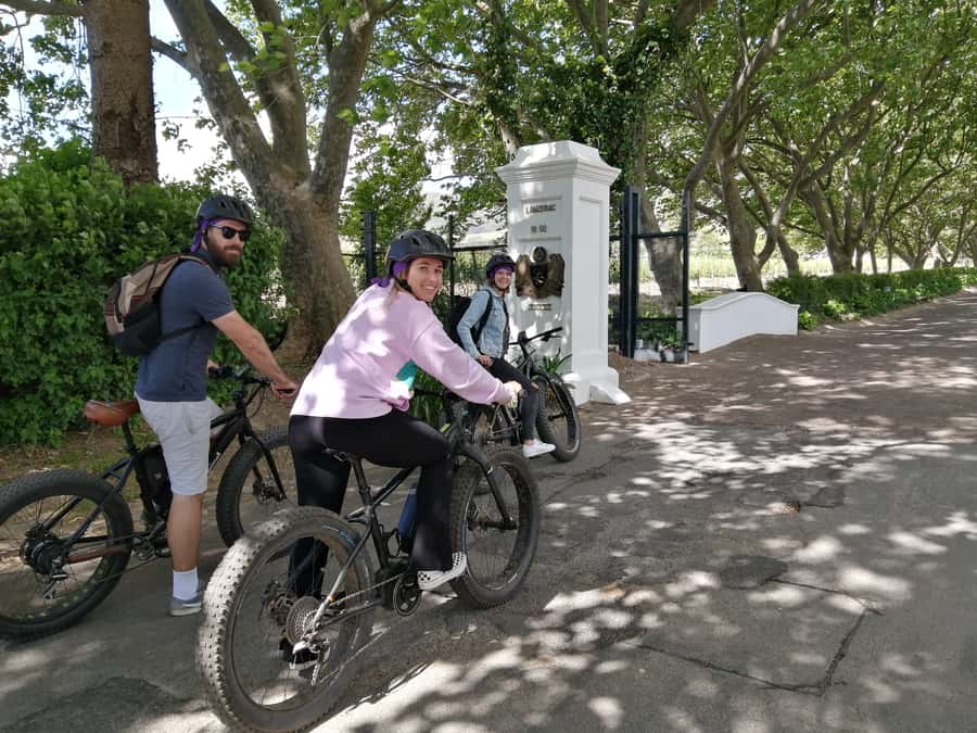 Stellenbosch: Wine Farm E-Bike Guided Tour - Where the Tour Starts and How the Ride Gets Rolling Safely