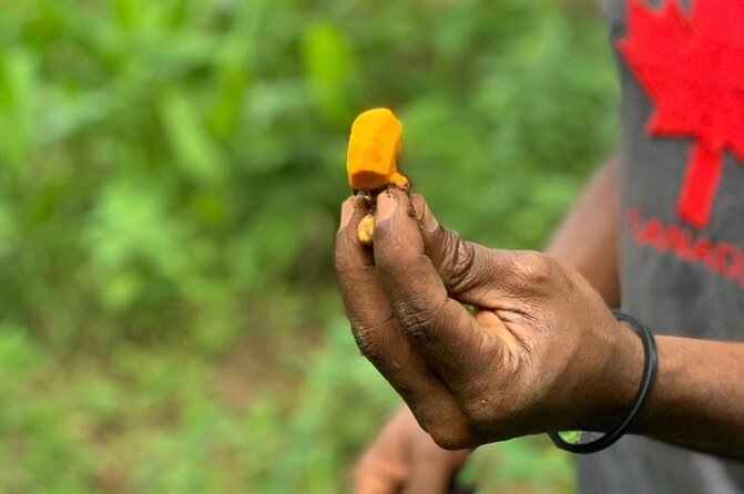 STONE TOWN and SPICE FARM TOUR ( Lunch Included ) - Lunch in Stone Town: Swahili Food as Part of the Plan