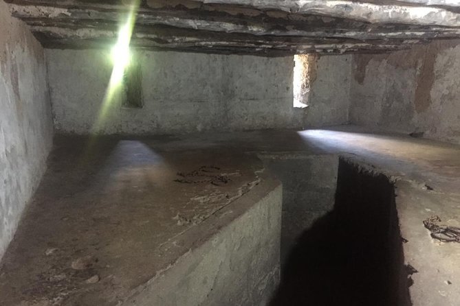 Stone Town, Spice Farm and Jozani Forest Private Tour - What you get for $89.99 per person (and why it can feel fair)