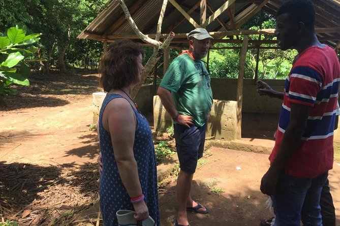 Stone Town, Spice Farm and Jozani Forest Private Tour - The day’s flow: how a 7 to 8 hour schedule stays doable