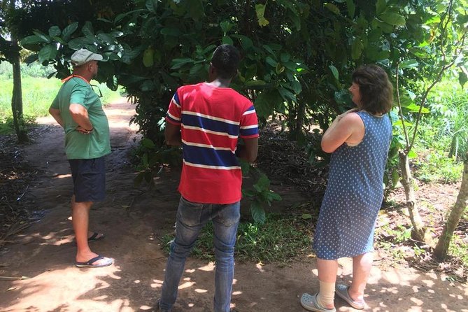Stone Town, Spice Farm and Jozani Forest Private Tour - Timing, packing, and practical tips that make the whole day smoother