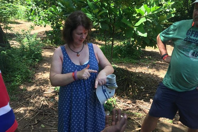 Stone Town, Spice Farm and Jozani Forest Private Tour - Who this fits best (and who might prefer a different style)