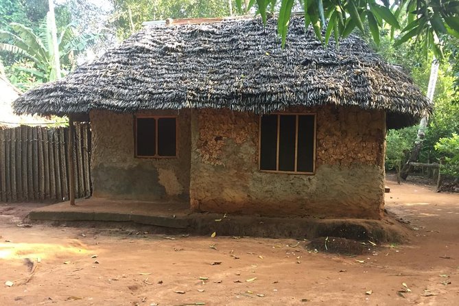 Stone Town, Spice Farm and Jozani Forest Private Tour - Price and logistics: the extras that can change your final cost