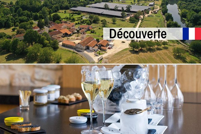 Sturgeon Fish-Farm Visit and Caviar Discovery Tasting in Neuvic - Key highlights worth planning around