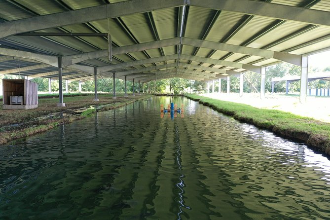 Sturgeon Fish-Farm Visit and Caviar Discovery Tasting in Neuvic - Getting there and getting oriented at La Grande Veyssière