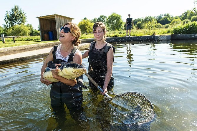 Sturgeon Fish-Farm Visit and Caviar Master Class Tasting in Neuvic - The sturgeon pool moment: fun photos, limited slots, and wet-weather reality