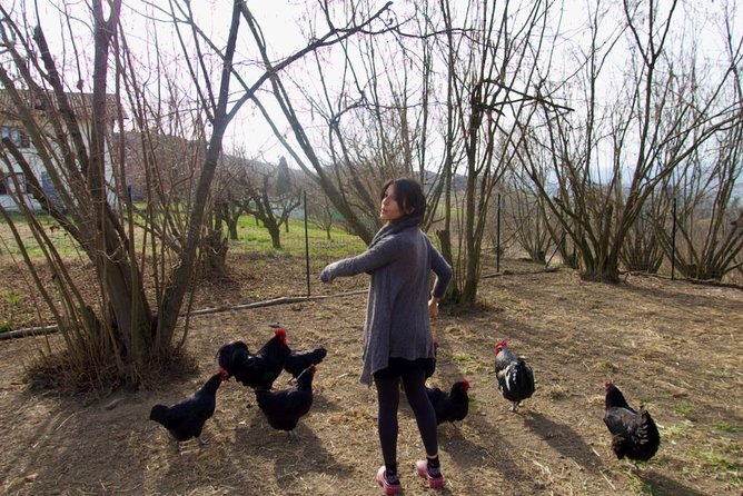 Sustainable Farm Tour & Northern Italian Cooking Class in Asti - Price and Value: Why $170 Feels Fair for This Kind of Day