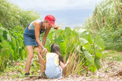 Taste of Hawaii: A Maui Farm Tour - The Tasting You’ll Actually Taste: Fruit, Sugarcane Juice, And Banana Ice Cream
