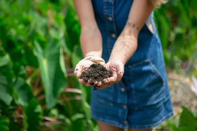Taste of Hawaii: A Maui Farm Tour - Price And Value: Is $75 Worth 90 Minutes Of Food And Farming?