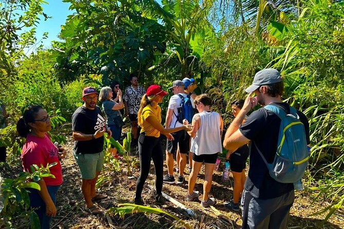 Taste of Hawaii: A Maui Farm Tour - Who Should Book This Maui Farm Tour (And Who Might Skip It)