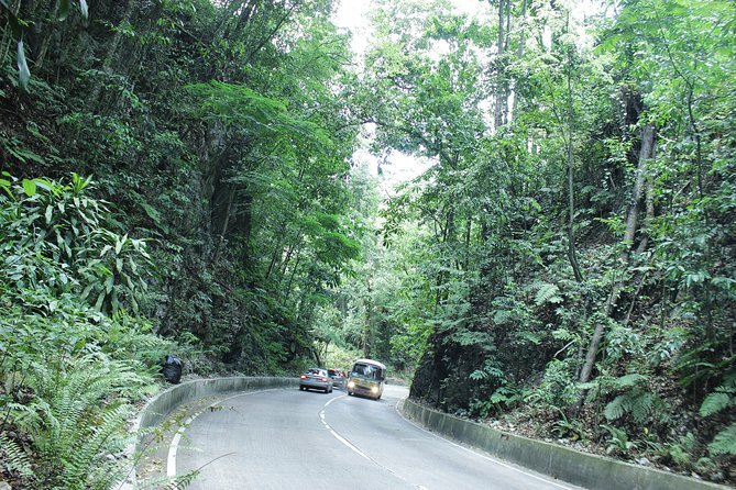 Taste of Jamaica Farm Cookout - Out of Ocho Rios: the scenery run and why it matters