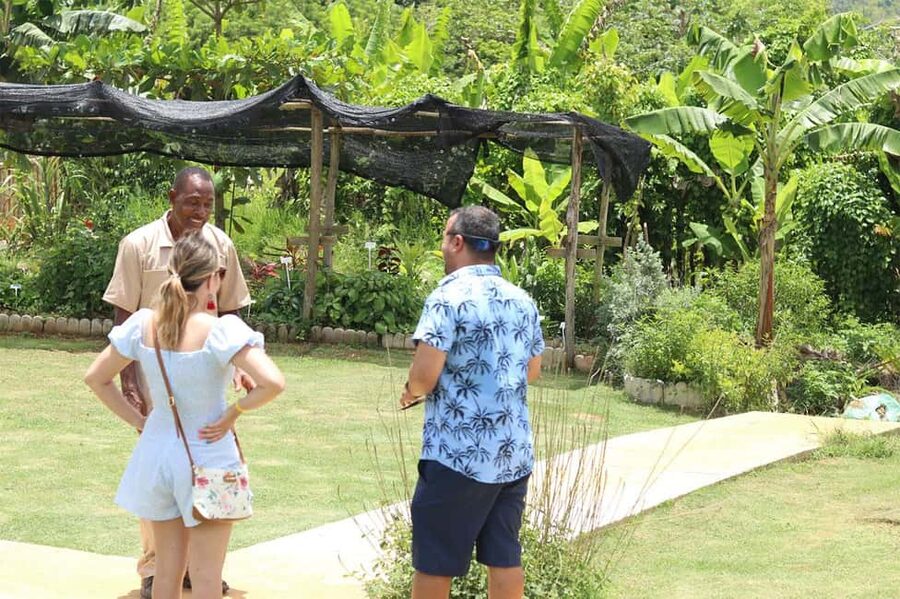 Taste of Jamaica Farm & Food Tour - A Half-Day Farm Tour Outside Ocho Rios: What You’re Really Signing Up For