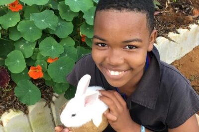 Taste of Jamaica Farm & Food Tour - Meet the Hosts: Elizabeth’s Farm and Lascells’ Herb Talk