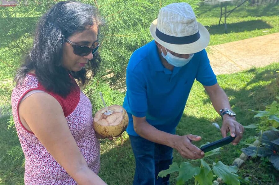 Taste of Jamaica Farm & Food Tour - Who This Tour Fits Best (and Who Might Prefer Another Plan)