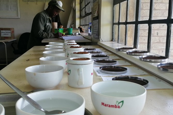 Tea Farm Experience at Riara Tea Farm And Factory Tour - The factory tour after harvest: how processing connects to quality