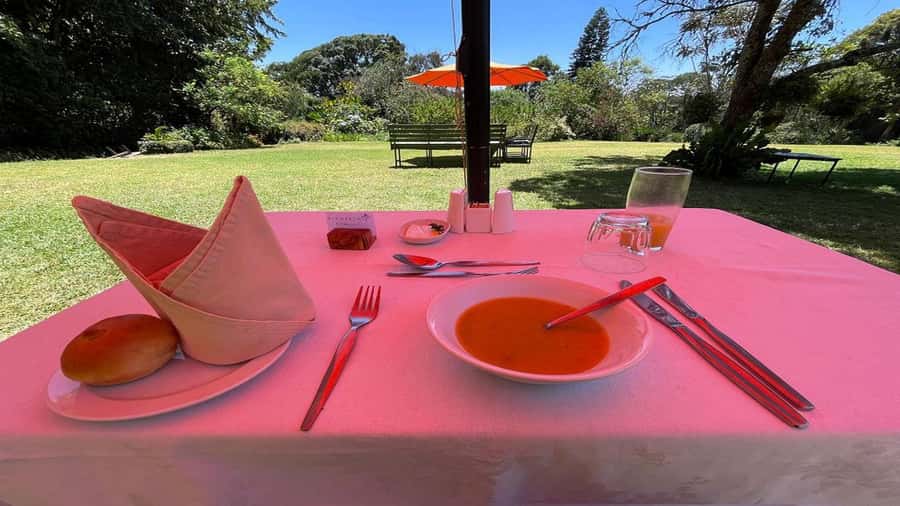 Tea Farm Tour From Nairobi (Kiambethu). - Key highlights worth timing your day for