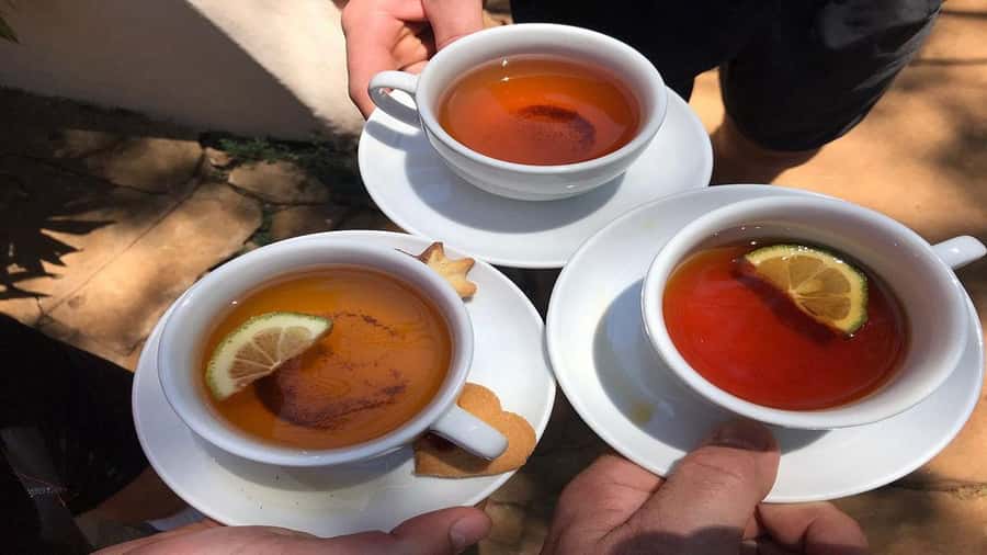 Tea Farm Tour From Nairobi (Kiambethu). - Understanding tea at the farm: the process overview and tasting portion