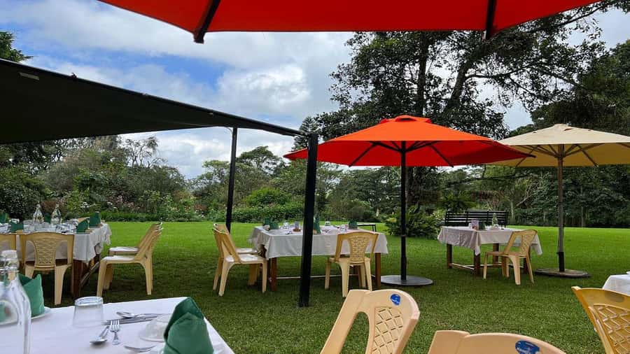 Tea Farm Tour From Nairobi (Kiambethu). - Who this tour suits best (and who might be disappointed)