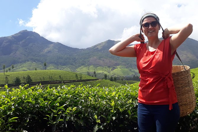 Tea Farm Tourism - Tea Farm Tourism in Munnar: What Makes It Worth Your Morning