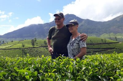 Tea Farm Tourism - Western Ghats at ~5,000 Feet: Views, Weather, and Footwear