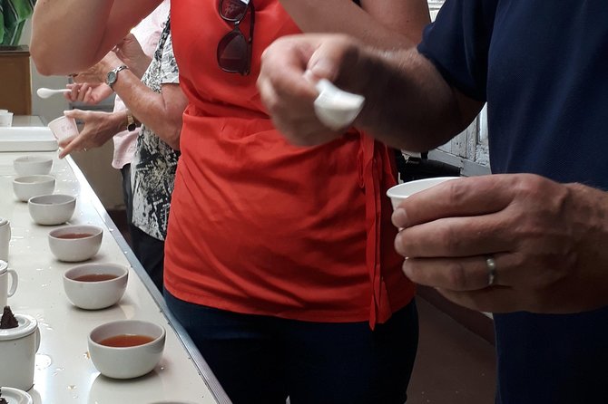Tea Farm Tourism - Price and Value: Is $24 Fair for 3 Hours?