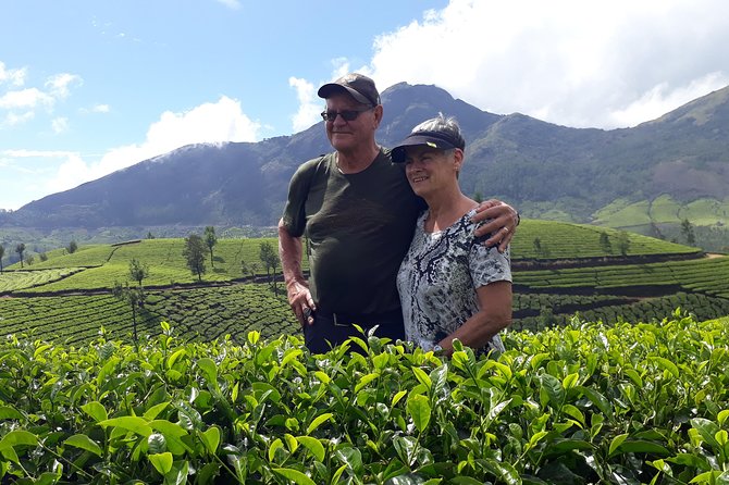 Tea Farm Tourism - Western Ghats at ~5,000 Feet: Views, Weather, and Footwear