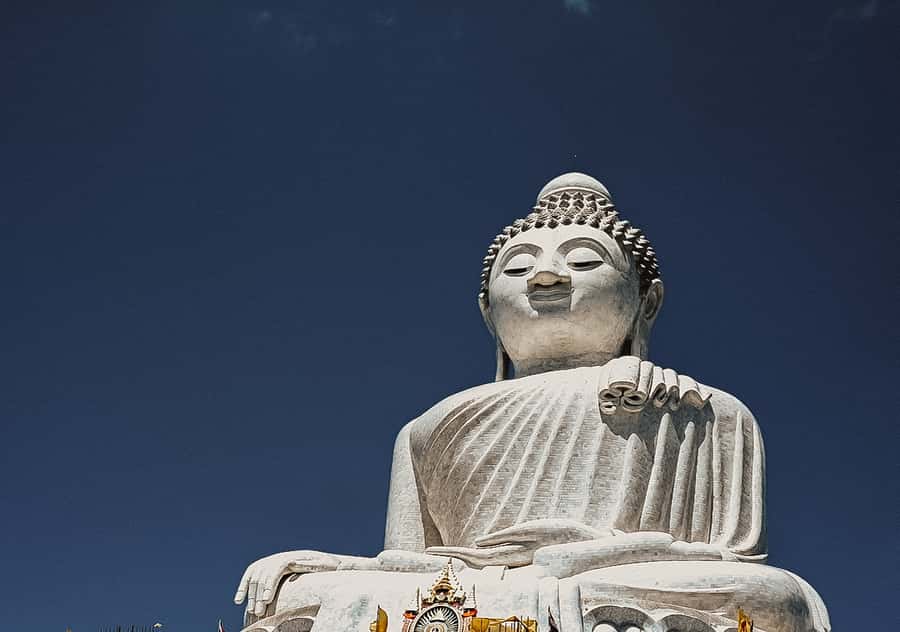 Temple and Jungle Trekking tour with Lunch at Farm-to-Table - Key Things to Know Before You Go