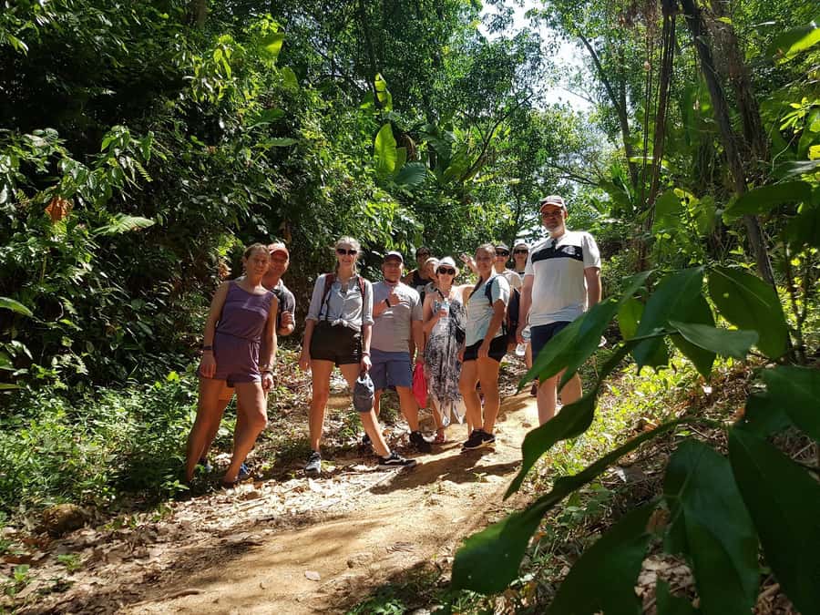 Temple and Jungle Trekking tour with Lunch at Farm-to-Table - Who This Tour Fits Best (and Who Might Want Another Option)