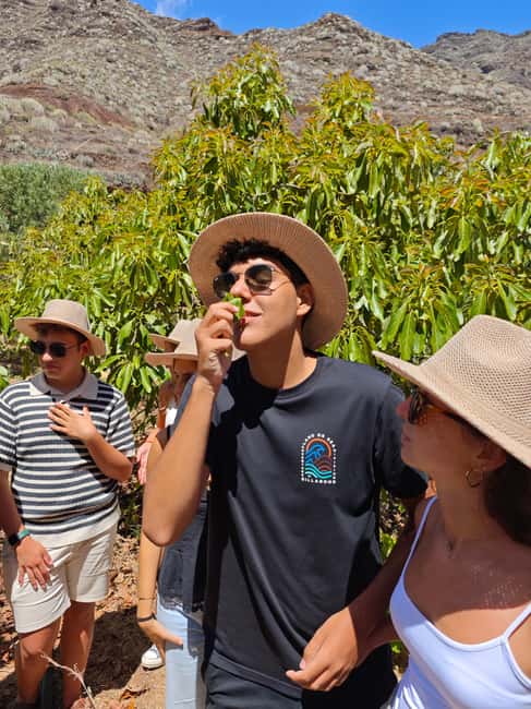 Tenerife: Avocado Farm Tour with Tasting Menu & Wine - First Steps at Finca Coviella, 7 Minutes from Santa Cruz