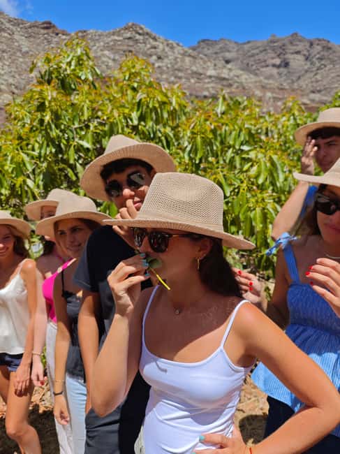 Tenerife: Avocado Farm Tour with Tasting Menu & Wine - The Tasting Menu: Orchard-to-Table, With Tenerife Wine