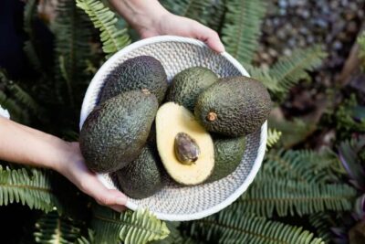 Tenerife: Avocado Farm Tour with Tasting Menu & Wine - Walking the Orchard: How Avocados (and Neighbors) Are Grown
