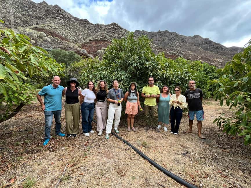 Tenerife: Avocado Farm Tour with Tasting Menu & Wine - Price and Value: Is $59 Worth Two Hours?