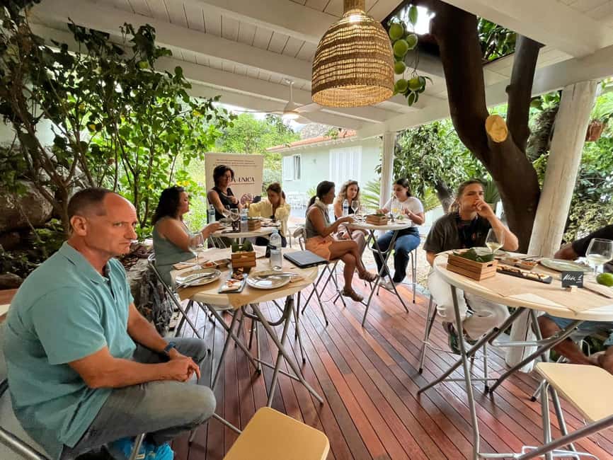 Tenerife: Avocado Farm Tour with Tasting Menu & Wine - Language, Group Size, and the Pace You’ll Actually Feel