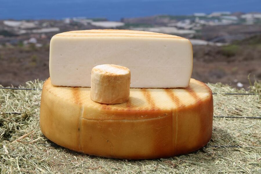 Tenerife - Farm Tour with Cheese Tasting - Key highlights to look for
