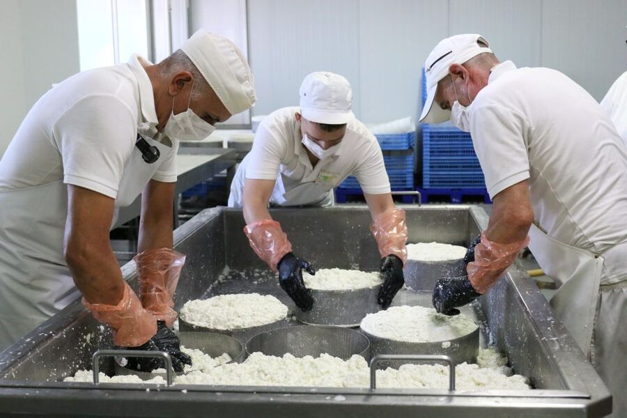 Tenerife - Farm Tour with Cheese Tasting - Inside the cheese factory: what you’ll actually see
