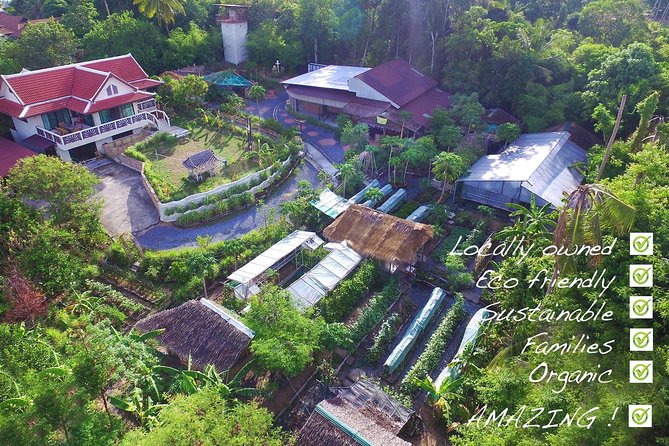 Thai Cooking Class | Since 2012 | Farm to Table - Who Should Book It (and Who Might Skip It)